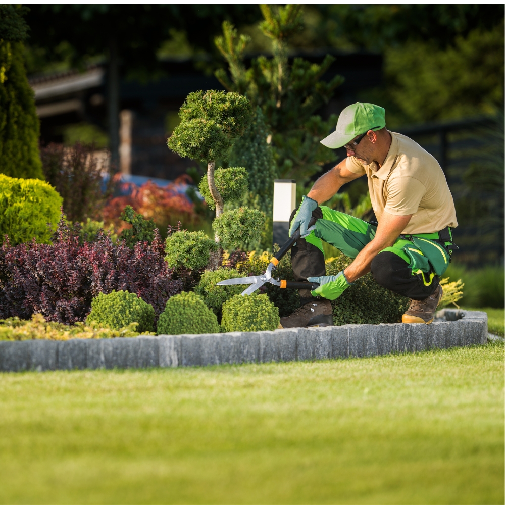 Mantenimiento de jardines y áreas verdes – Hogares
